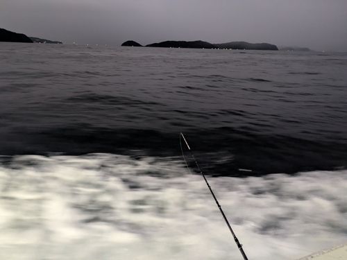 タチウオの釣果