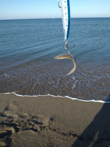 津軽半島