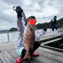 タイ