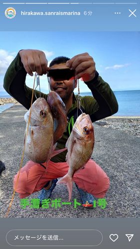 タイの釣果