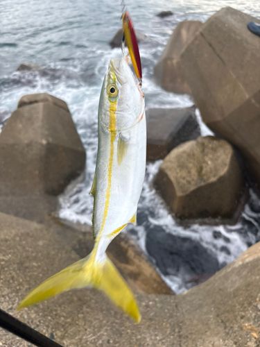 釣果