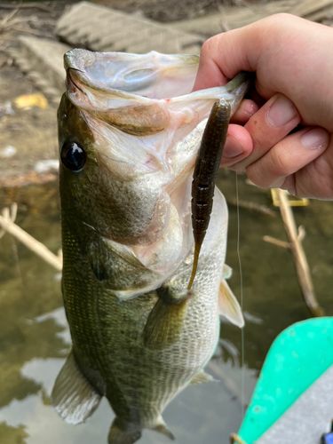 津風呂湖