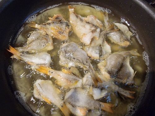 イサキの釣果