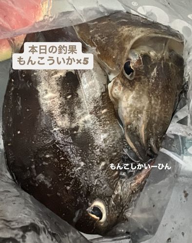 養老漁港