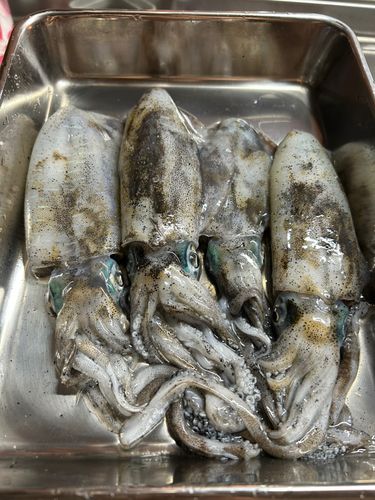 大矢野島