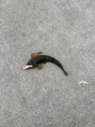 旧北上川河口