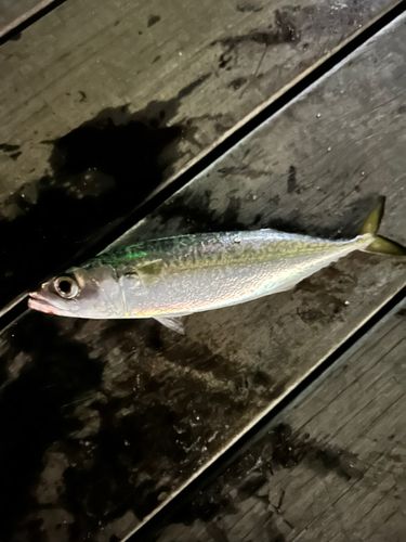 小名浜港アクアマリンふくしま周辺