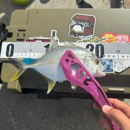 メッキ