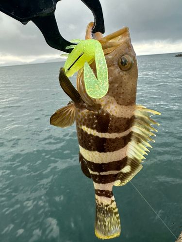 釣果