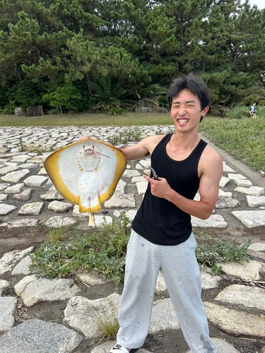 アカエイの釣果