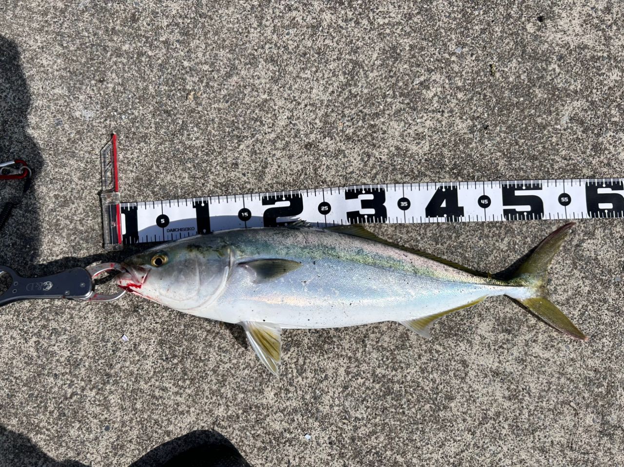 DAIWA 22オーバーゼア 106MHHの最安値・インプレ・釣果 | 本音の口コミ