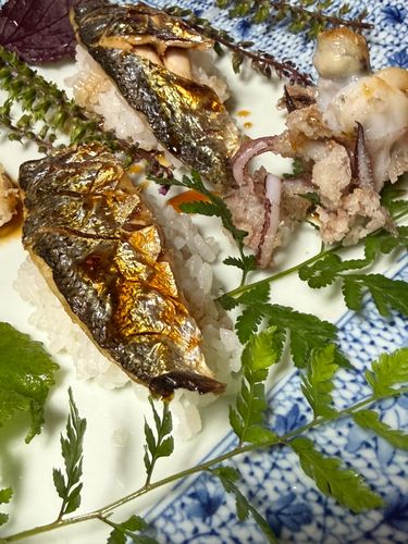 コノシロの釣果
