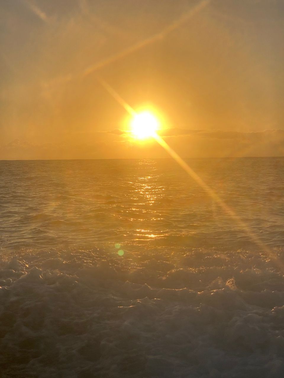 オトコマエさんの釣果 2枚目の画像