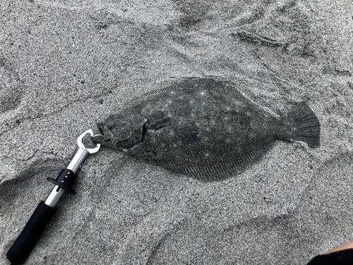 中田島サーフ