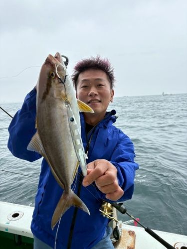 シオの釣果