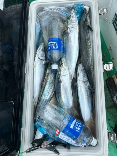 セントレア常滑港前島