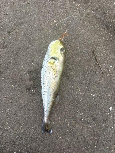 小名浜港アクアマリンふくしま周辺