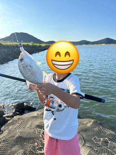メッキの釣果