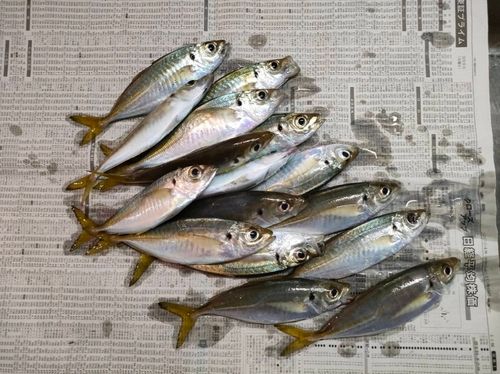 大磯海岸