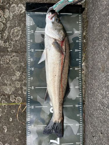 那珂川河口