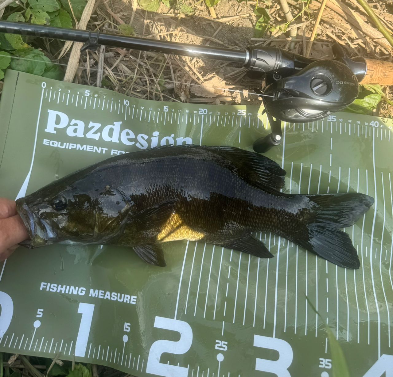 DAIWA 21ブレイゾン C610MHの最安値・インプレ・釣果 | 本音の口コミが