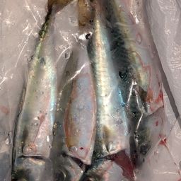 アジ