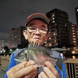 キチヌ