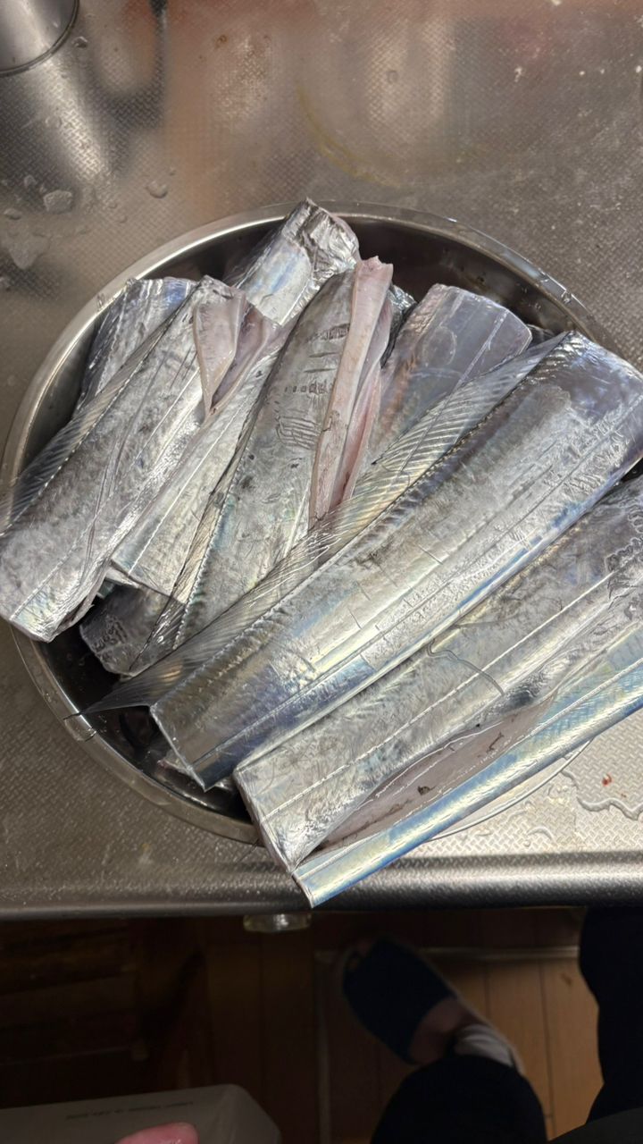 つりりりりさんの釣果 2枚目の画像