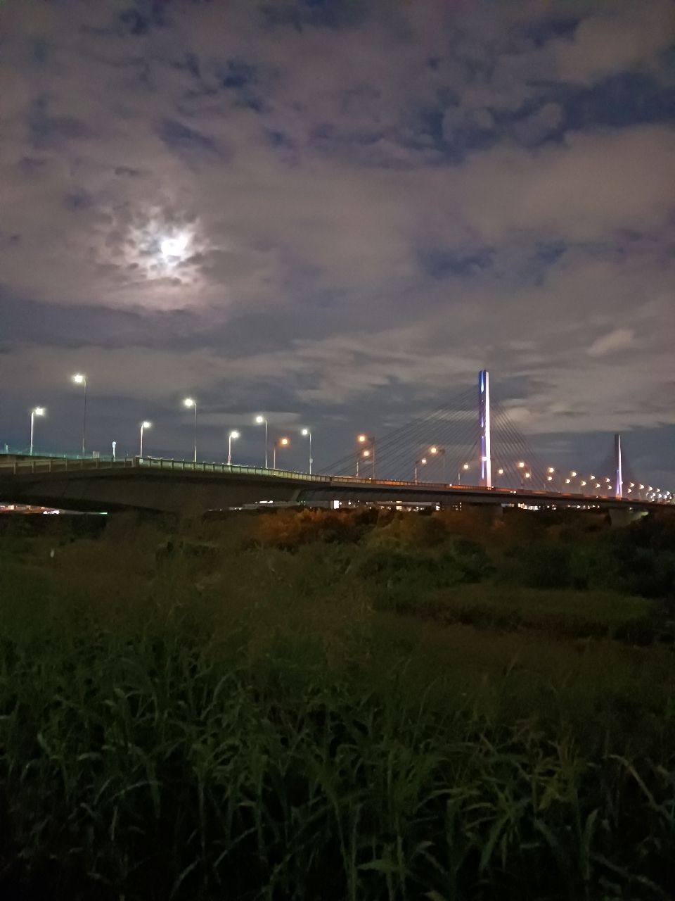 ラージマウスバス