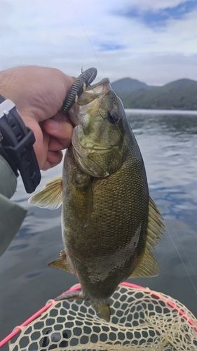 桧原湖
