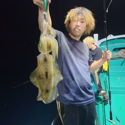 アオリイカ