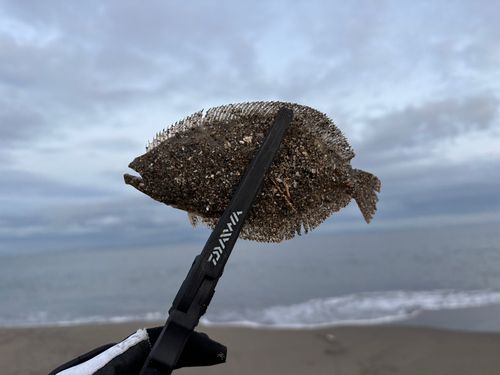 三浦海岸