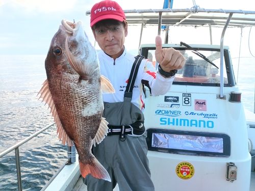 マダイの釣果