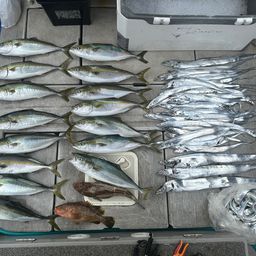 タチウオ