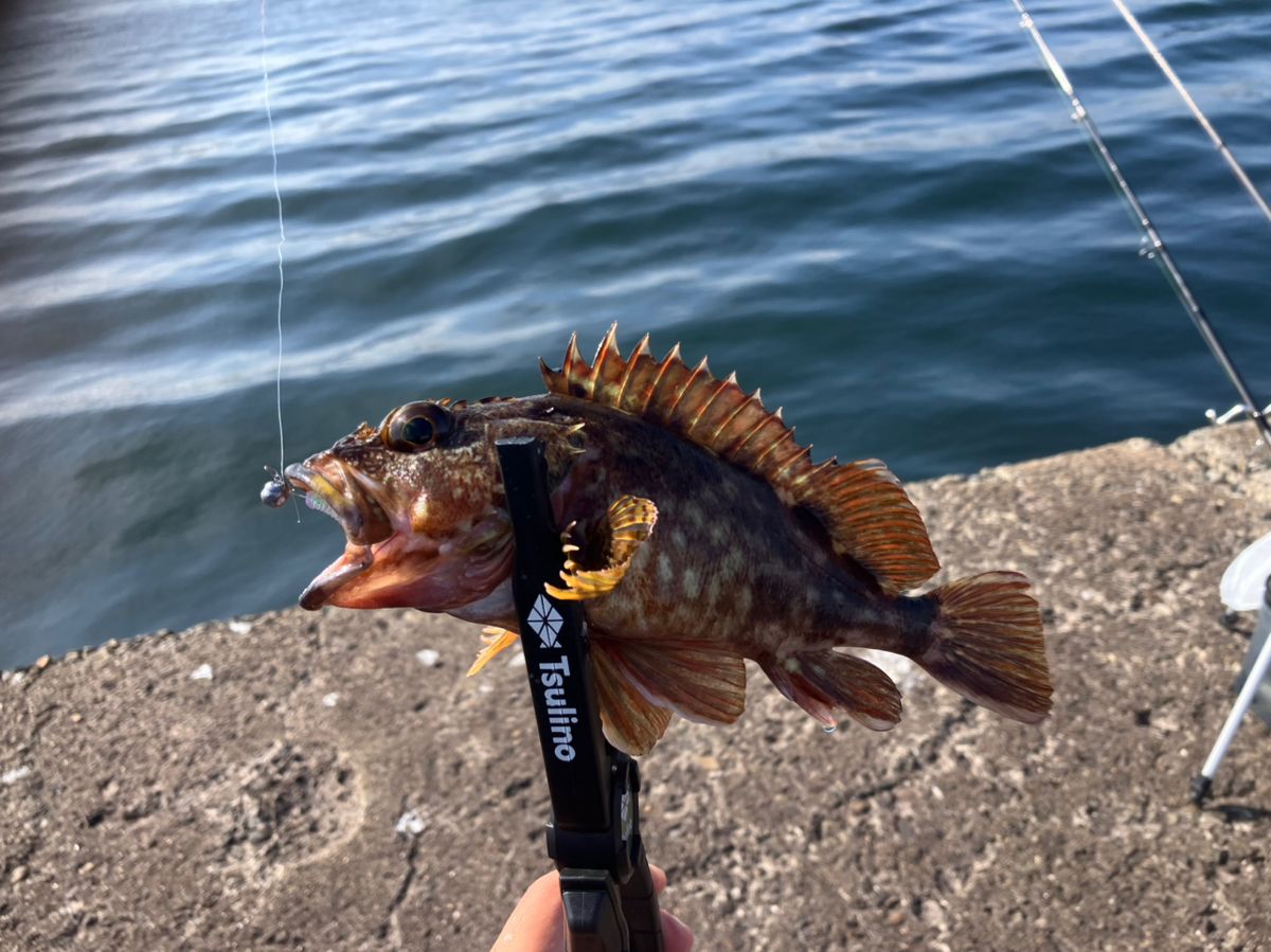 ポセイドン壱@ポセイドンを追い求める男さんの釣果 3枚目の画像