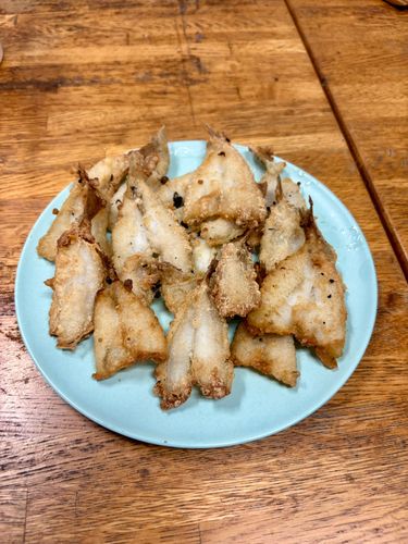 キスの釣果