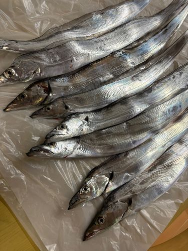 東京湾
