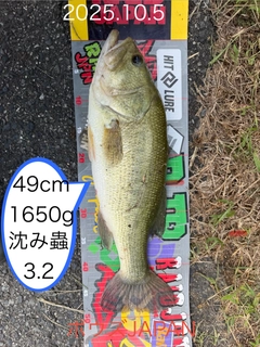 ブラックバスの釣果