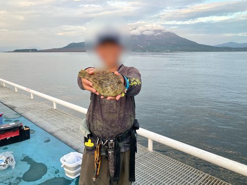 カワハギの釣果