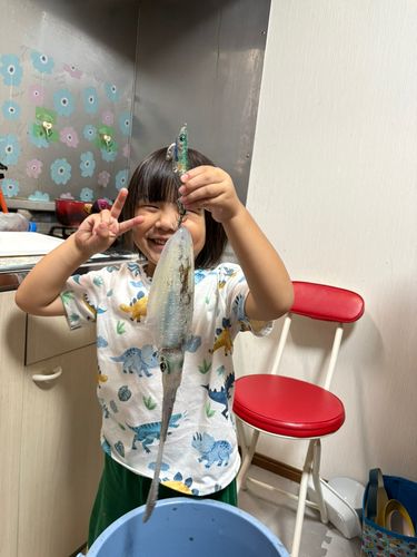 宮津湾