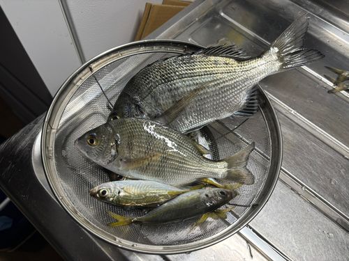 能生港