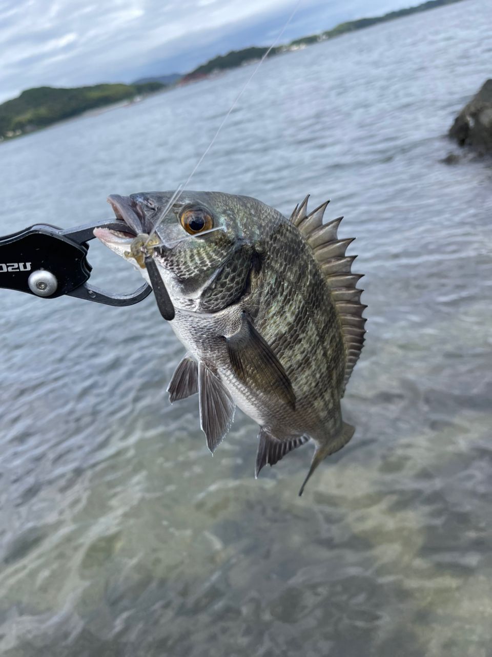 【新品未使用】 寧音 B79MH-solid がまかつ ラグゼ LUXXE Gamakatsu ラグゼ 寧音 B79MH-solid Gamakatsu（がまかつ） 大型