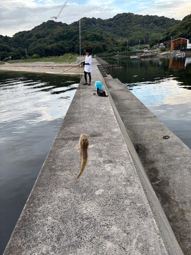 西浦