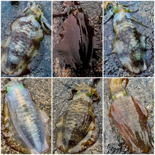 大野からくり記念館前