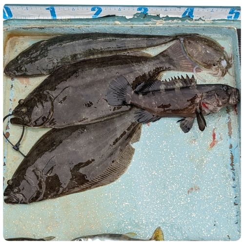 表浜名湖
