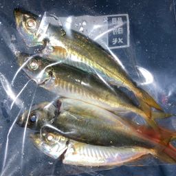 アジ