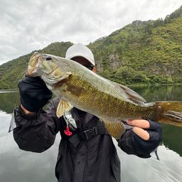 スモールマウスバス