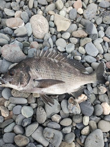 今沢海岸