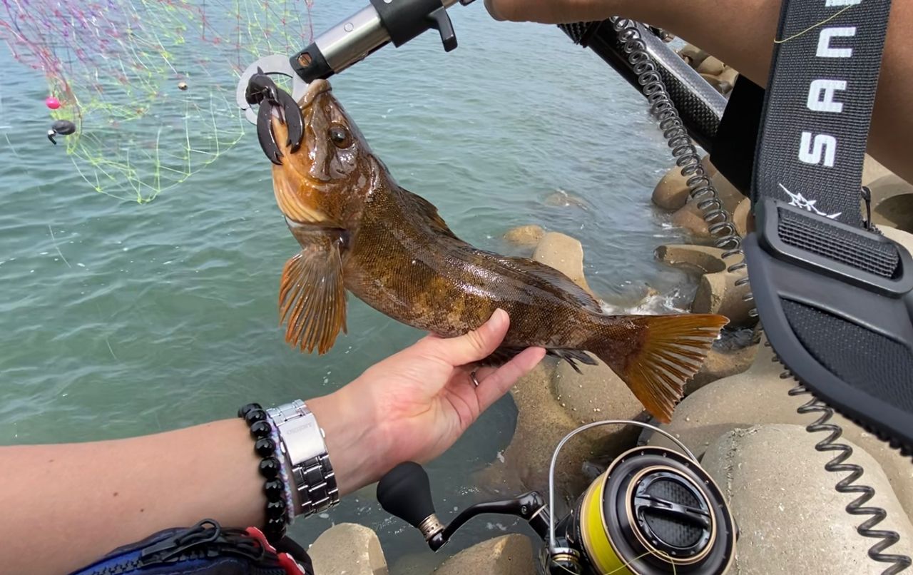 アブ　エラディケーター　ロックスイーパーersc-77ml-bf 楽天市場】エラディケーターロックスイーパー ersc－77ml－bf