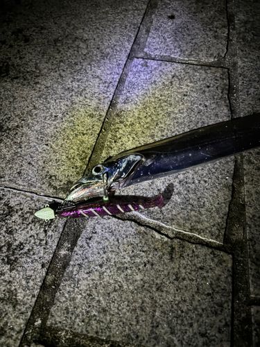 翼港